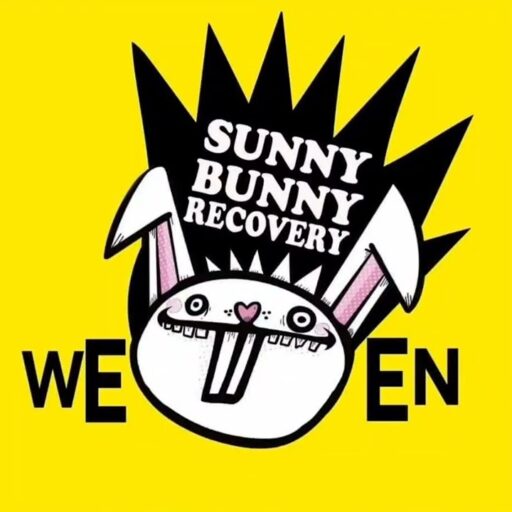 Sunny Bunny Recovery